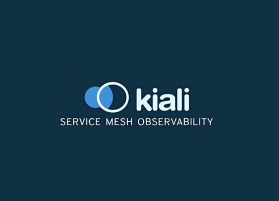 Service mesh management for Istio